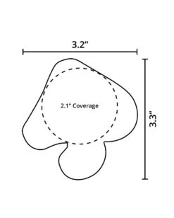 Pastease Neon Glitter Mushroom Pasties -Iheartraves Sale Store Mushroom 5e3f73cf bd9b 4451 9aca 1754f0bbcbeb