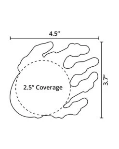 Pastease Glow In The Dark Skeleton Hands Pasties 7 Pastease Glow In The Dark Skeleton Hands Pasties -Iheartraves Sale Store PasteaseGlowInTheDarkSkeletonHandsPasties